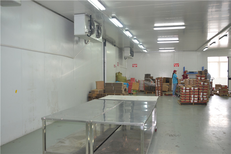 上海嘉果食品冷库工程